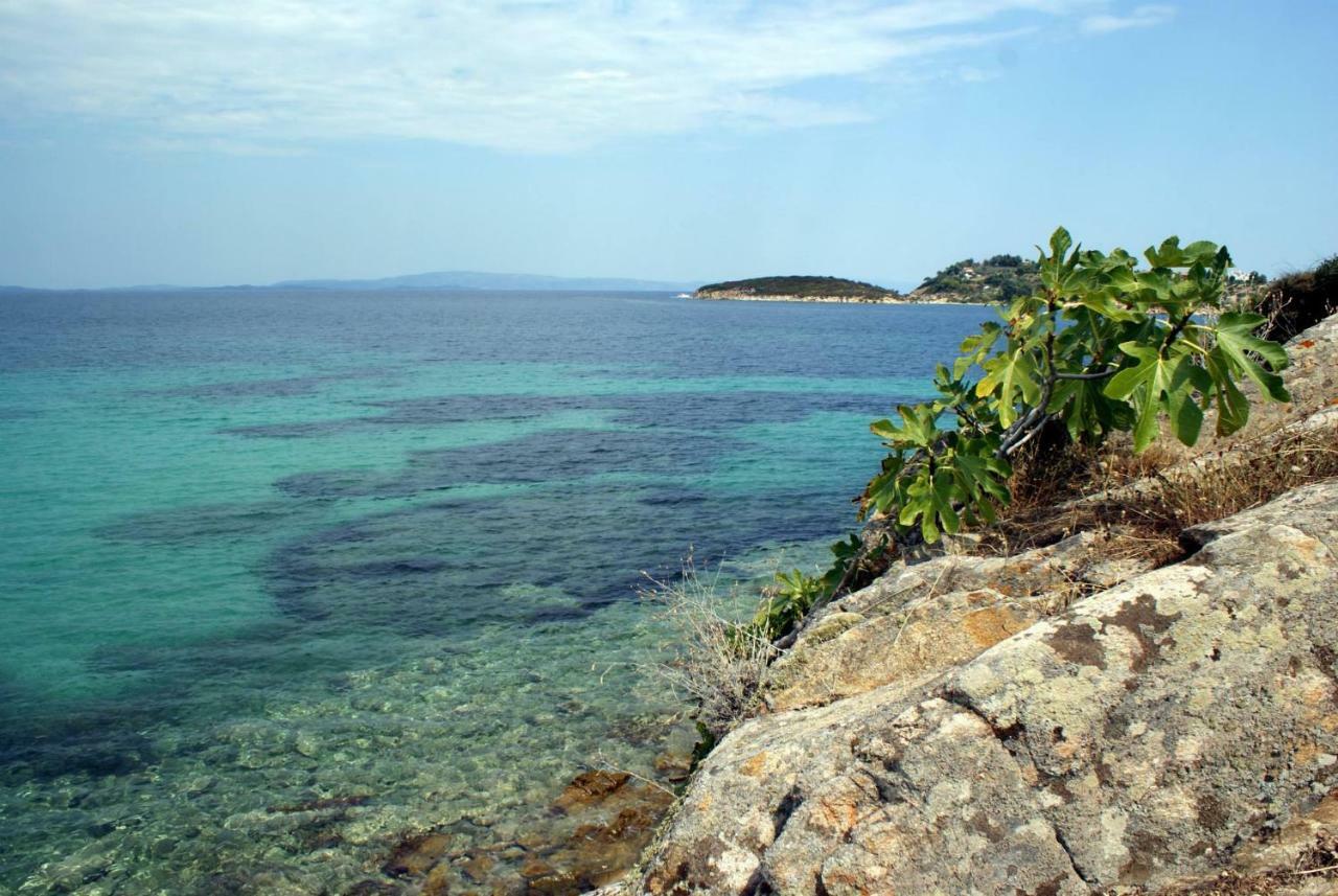 Ktima Argiri Διαμέρισμα Όρμος Παναγιάς Εξωτερικό φωτογραφία